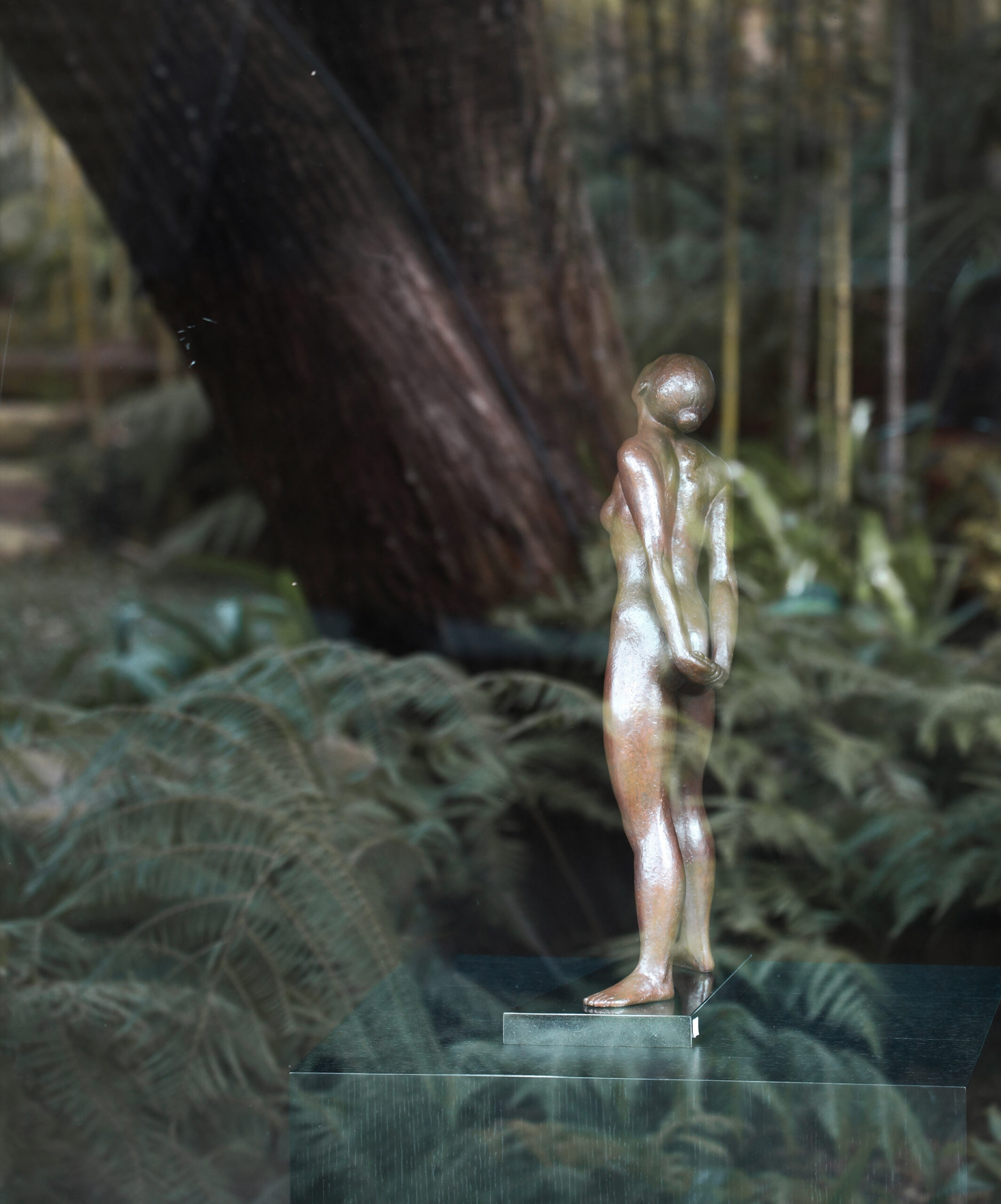 Blog Beautyoffuguei 20x