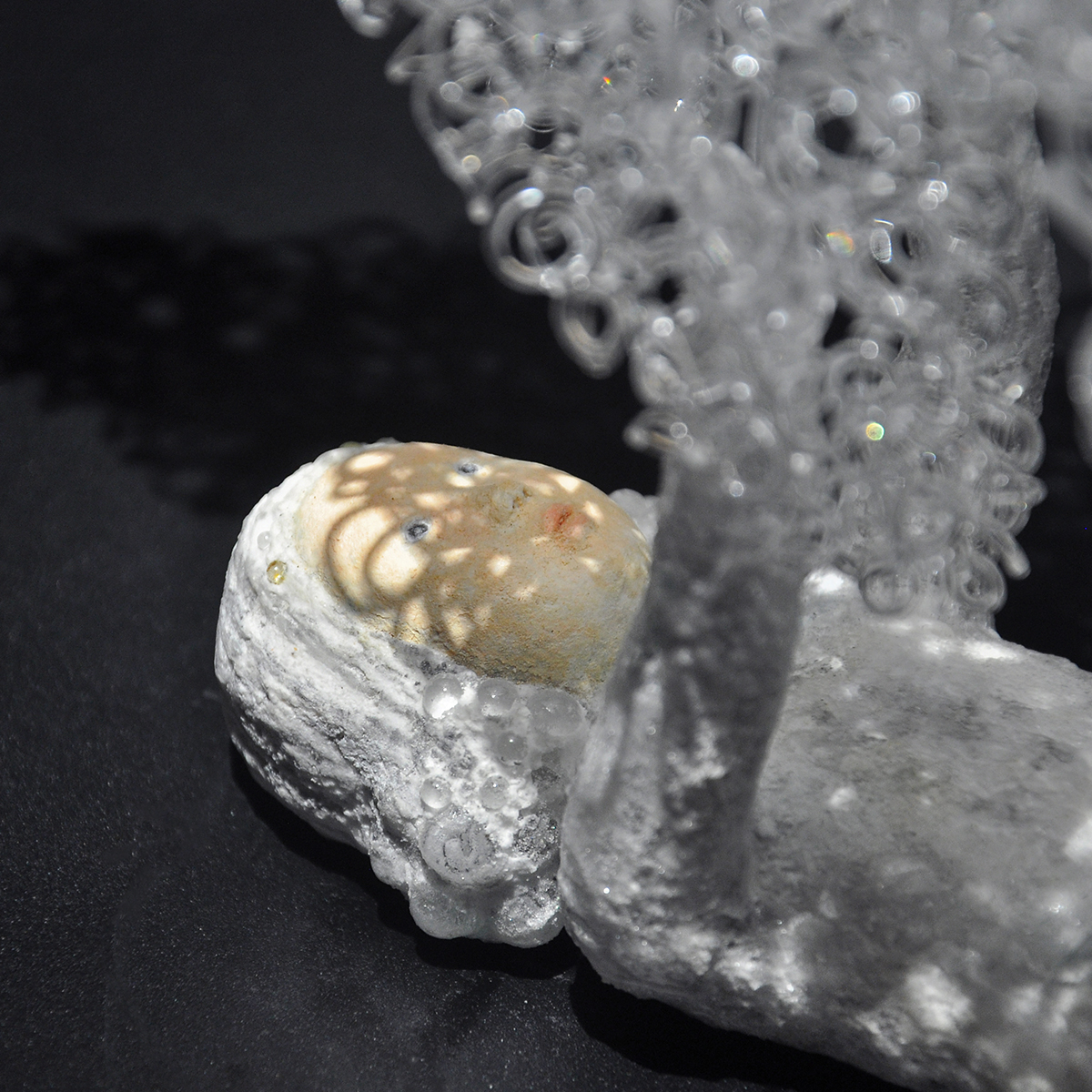 Yukiko Sugano 2025 Artworks 4ssss