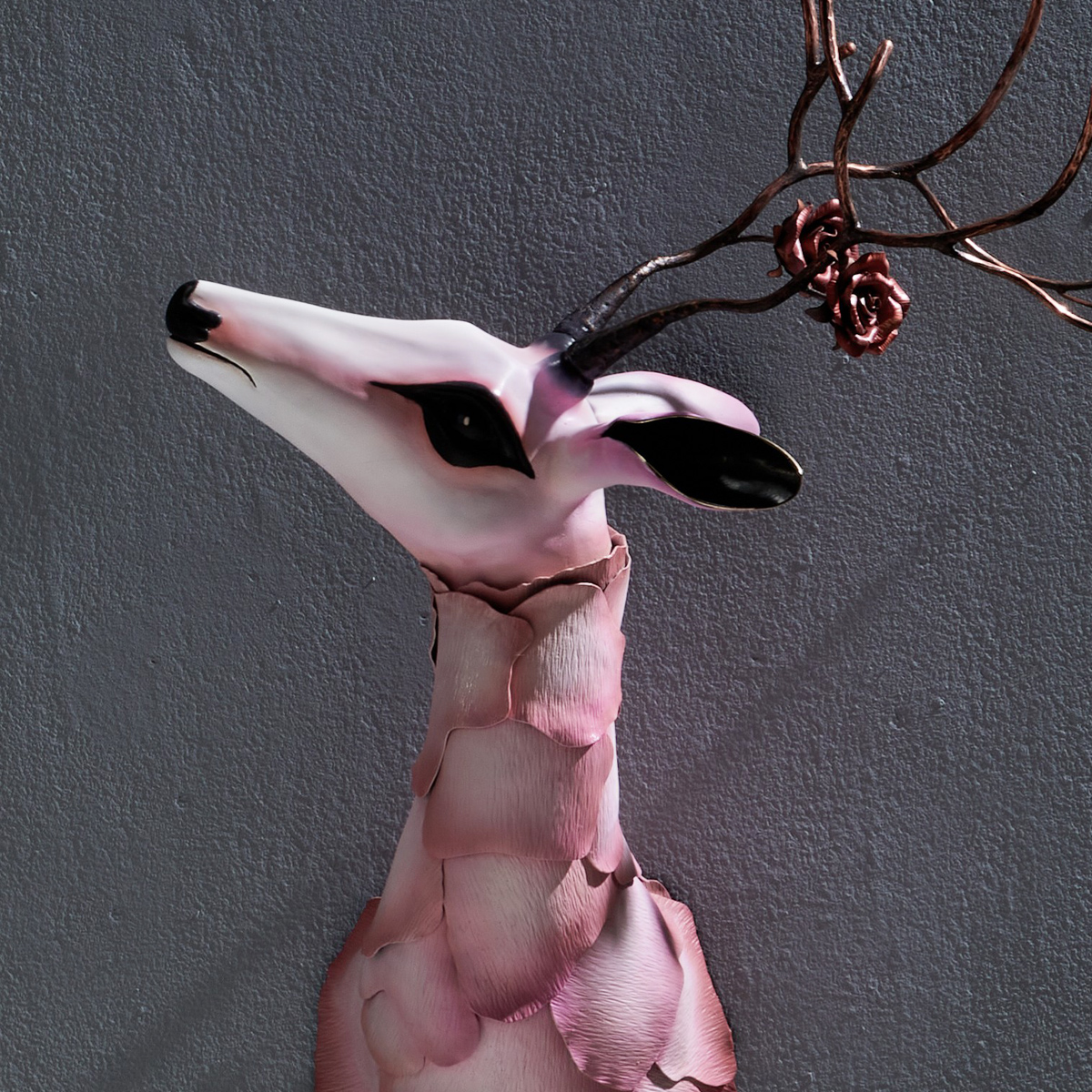 Fehte4564nw27k7hg53x