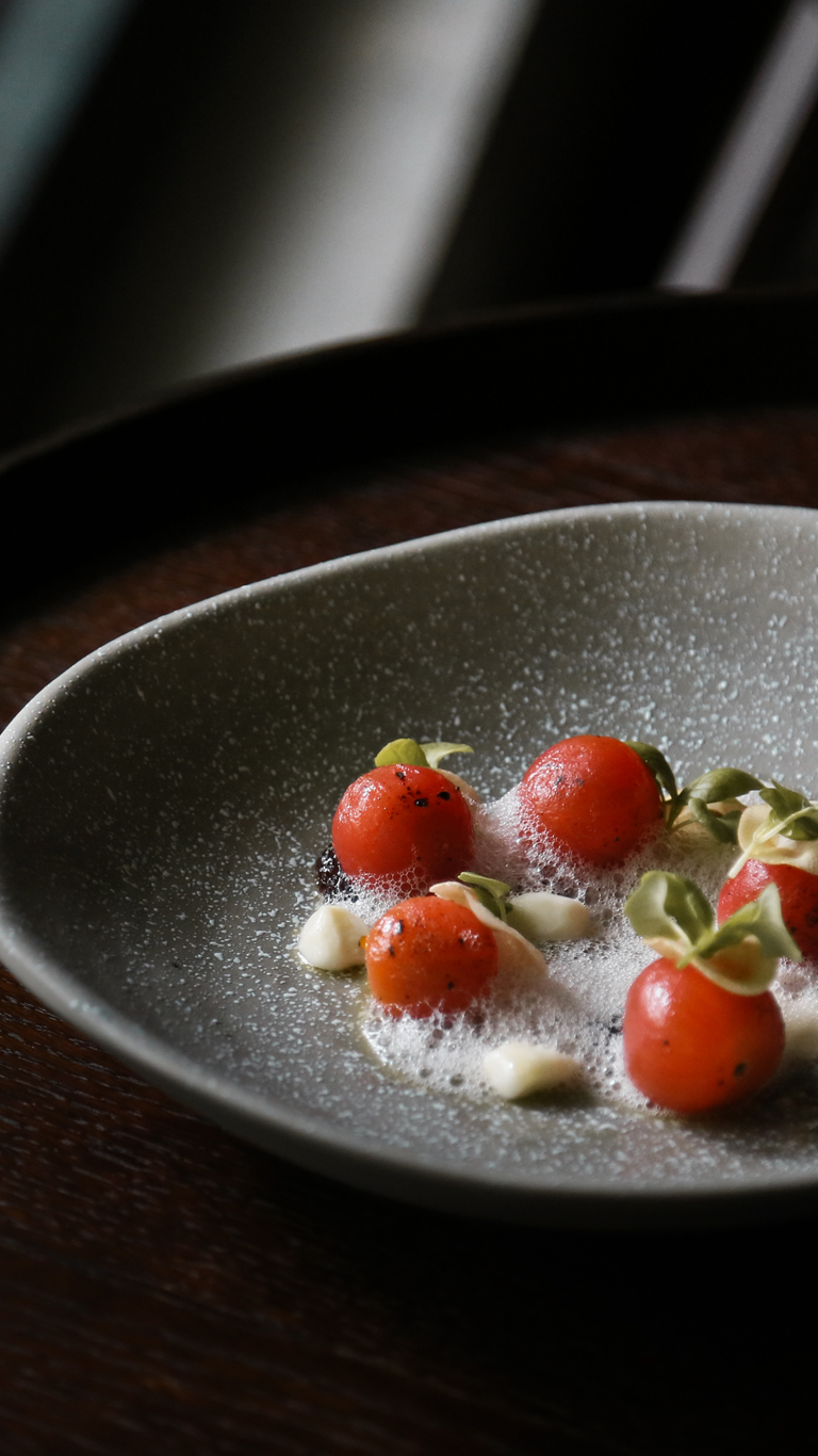 曇韻Banner 202510 M1