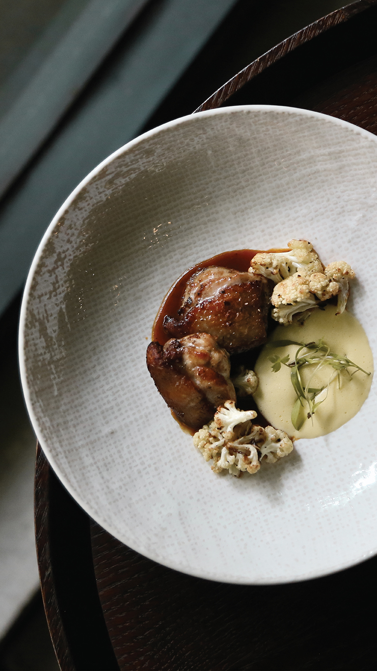 曇韻Banner 202510 M