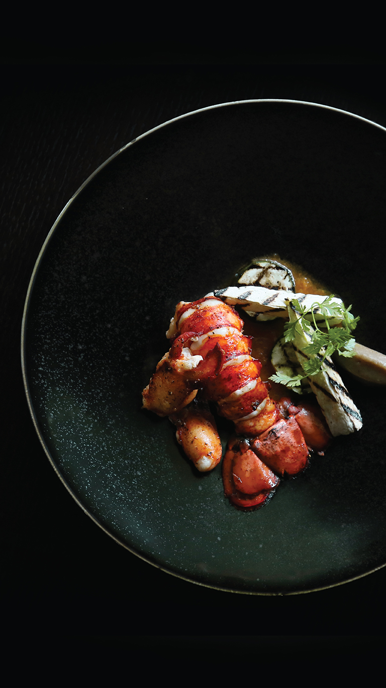 曇韻Banner 202510 M